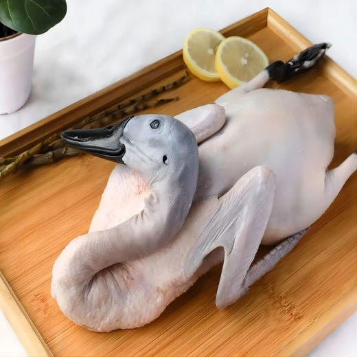 热卖！全国wei一药用鸭！滋养降火！第3只低至19.9元！生态白鹜鸭（黑嘴麻鸭）约950g-1150g*2只 再送2根长白山精品保鲜参 商品图2