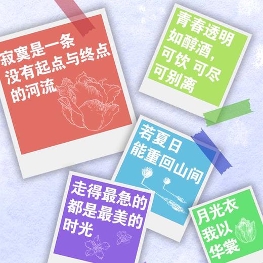 除你之外 商品图3