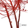 永生花材 ｜ 柔丝红色 商品缩略图2