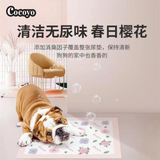 【全网爆款】Cocoyo狗狗尿垫猫用尿片宠物吸水尿布卫生垫尿不湿垫 33*45cmS码 商品图3