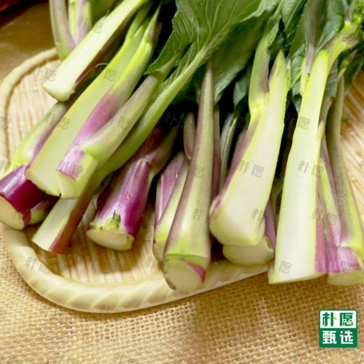 朴愿甄选 水果红菜苔 商品图1