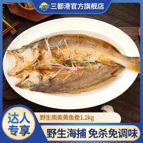 三都港南美黄鱼鲞1.2kg(内含4条) 非养殖速冻锁鲜三去黄花鱼免处理海鲜