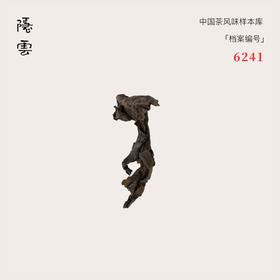 笃念｜2024年肉桂