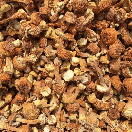 金亮子·松茸80g  松茸醇含量高 菌香浓郁 商品图3