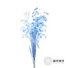 永生花材 | 小盼草深蓝 商品缩略图2