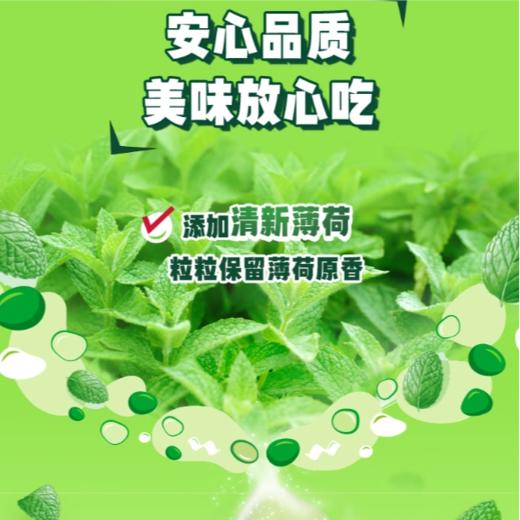 绿箭无糖口香糖（茉莉绿茶味)约40粒 56g/罐 商品图3