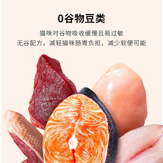 PaddyTime低敏猫粮澳洲进口呵护猫咪肠胃 1.1kg 商品图2