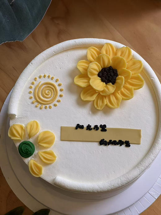 阳光万里 向阳而生 商品图1