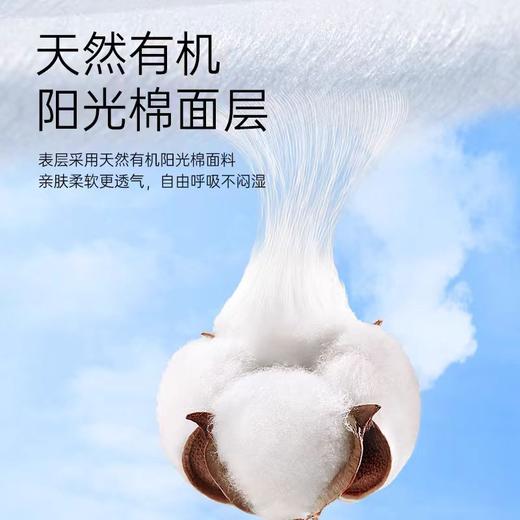 棉享草本 女士  卫生巾 商品图4