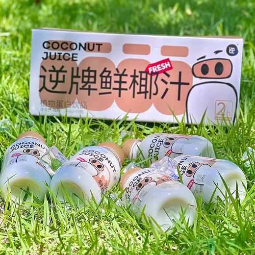 【逆·轻椰汁】自然椰香，‌鲜爽解腻🥥聚会/‬聚餐必备！ 商品图0
