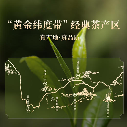 包装更新 正山堂骏眉中国 福聚六韵礼盒装 特级红茶正宗年货送礼180g 商品图3