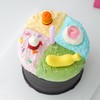ins| 多巴胺Gelato蛋糕【B5090】 商品缩略图3