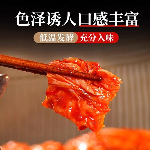 朴小样免切辣白菜朝鲜族泡菜韩式腌制 黄心大白菜 香辣酸甜 商品图4