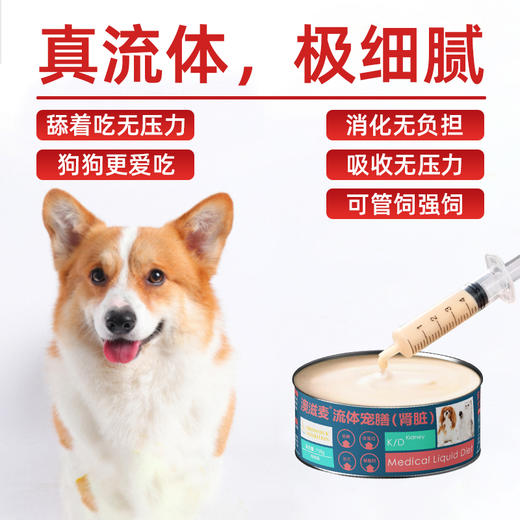 流体处方罐-肾脏-犬猫通用158g 商品图2