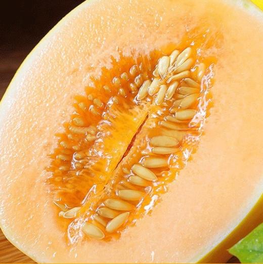 [最农公社]甘肃民勤蜜瓜3斤5斤9斤 新季品质蜜瓜 商品图0