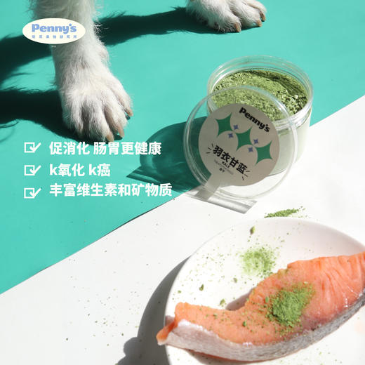 羽衣甘蓝冻干粉 商品图3