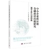 中小企业供应链金融前沿问题研究：基于多方法视角 商品缩略图0