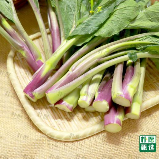 朴愿甄选 水果红菜苔 商品图4