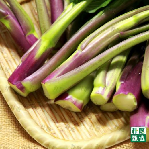 朴愿甄选 水果红菜苔 商品图3