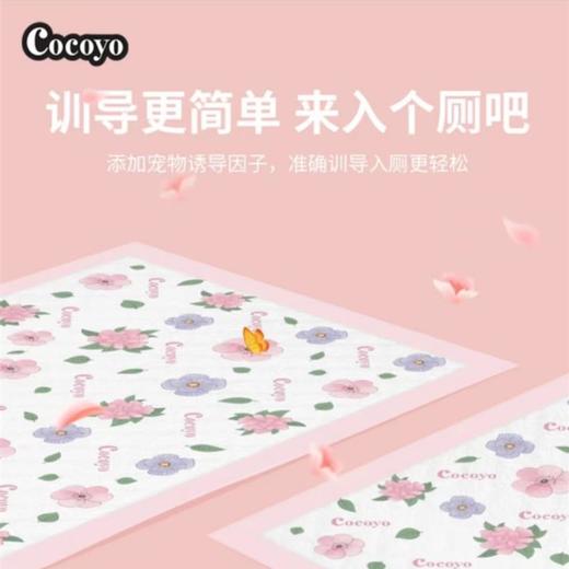 【全网爆款】Cocoyo狗狗尿垫猫用尿片宠物吸水尿布卫生垫尿不湿垫 33*45cmS码 商品图2