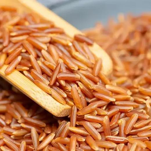 金亮子·红香米600g  精选优质红香米 颗粒饱满均匀 色泽天然红润 商品图3