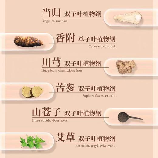 棉享 经典草本 女士  卫生巾 商品图5