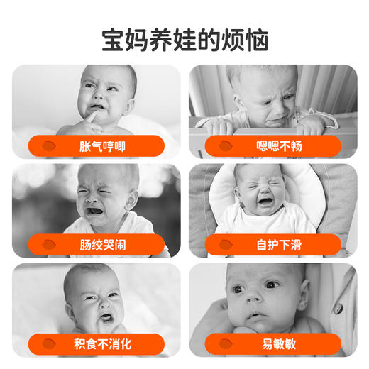 葆迪乐活性益生菌 商品图2