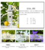 Jo Malone London祖马龙蓝风铃/鼠尾草/英国梨/青柠罗勒/红玫瑰/牡丹与胭红/橙花/香水30ml 商品缩略图8