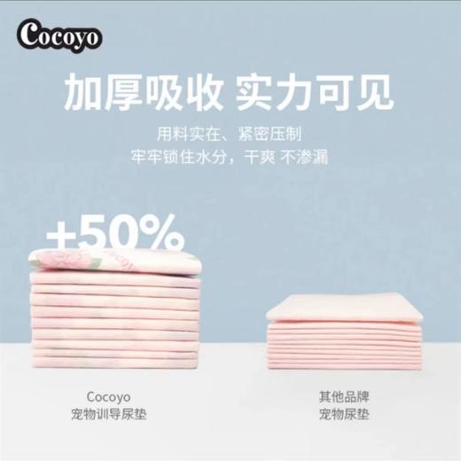 【全网爆款】Cocoyo狗狗尿垫猫用尿片宠物吸水尿布卫生垫尿不湿垫 33*45cmS码 商品图1