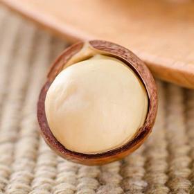 云南有机夏威夷果 来自云南临沧世界坚果之乡