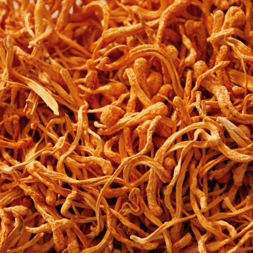 金亮子·虫草花100g  煲汤好搭档  滋补好食材 商品图3