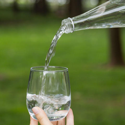 热卖！“液体黄金”！白桦依然NFC白桦树汁 330ml*6瓶 商品图3