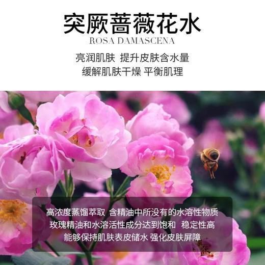 【150元会员福利】法国珂蒂丝保湿舒缓柔肤水150ml   商品图3