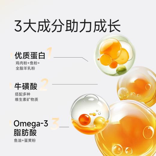 凯锐思猫粮幼猫专用奶糕1到12月猫咪鱼肉营养鲜肉高蛋白鸡肉无谷2kg 商品图3