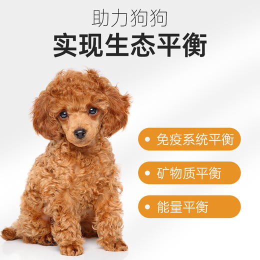 麦富迪狗粮营养森林肉松狗粮泰迪通用型比熊小型犬成幼犬粮 1.3kg 商品图2