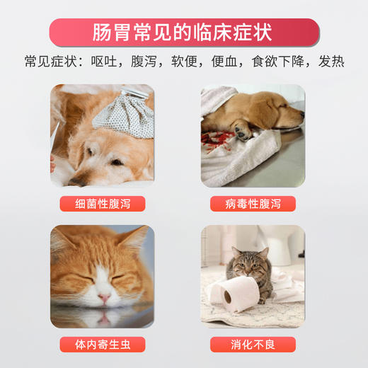 麦乐舒-肠胃黄金-多肽科技替抗新方案 商品图2