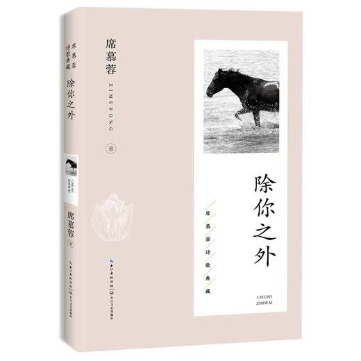 除你之外 商品图0