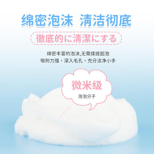 DeRU丹之荣 日本进口儿童猫爪泡泡洗手液花果香抗菌去污 300ml/瓶 商品图2