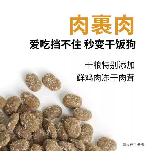 乐宠日记全价无谷冻干犬粮金毛泰迪哈士奇通用鲜肉狗粮高肉高蛋白 2.5kg（送火腿肠10支） 商品图1