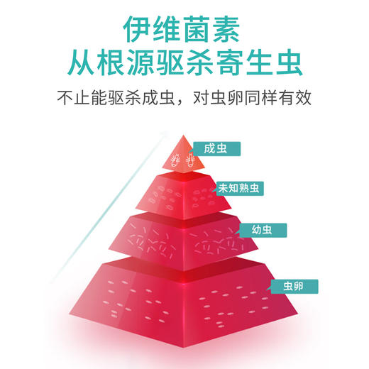 肤螨洁-伊维菌素溶液-螨虫虱子跳蚤蜱虫体外寄生虫 商品图4