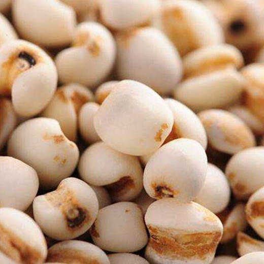 金亮子·大薏仁600g  口感软糯 煮后香气浓郁 易消化吸收 商品图4