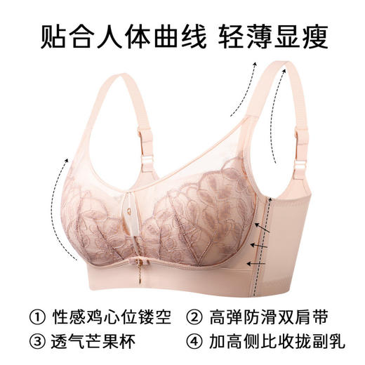 落樱纷纷 文胸(VIP)【超薄透气 大胸显小】薄款蕾丝性感软钢圈聚拢文胸 商品图3