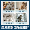陪卫 卫乐蒙猫用复合信息素固体挥发膏剂 情绪舒缓 预防应急 35g/盒 商品缩略图3