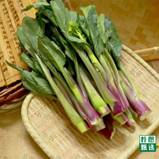 朴愿甄选 水果红菜苔 商品图2