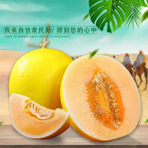 [最农公社]甘肃民勤蜜瓜3斤5斤9斤 新季品质蜜瓜 商品图3