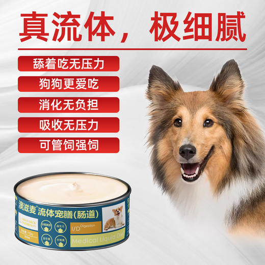 流体处方罐-肠道-犬用158g 商品图1