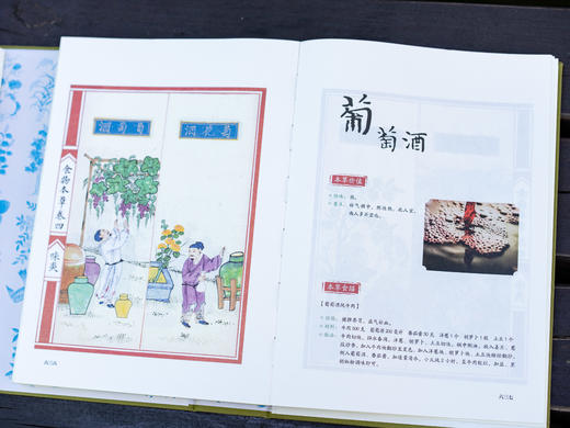 十点出版｜《食物本草-来自明代皇室的饮膳图谱》492种食药，492幅丹青彩绘，5万余字台阁体书法，来自明朝皇室的养生秘籍！药食同源的直观解读！最好的健康之道，或许就藏在老祖宗的一粥一饭之间。 商品图3