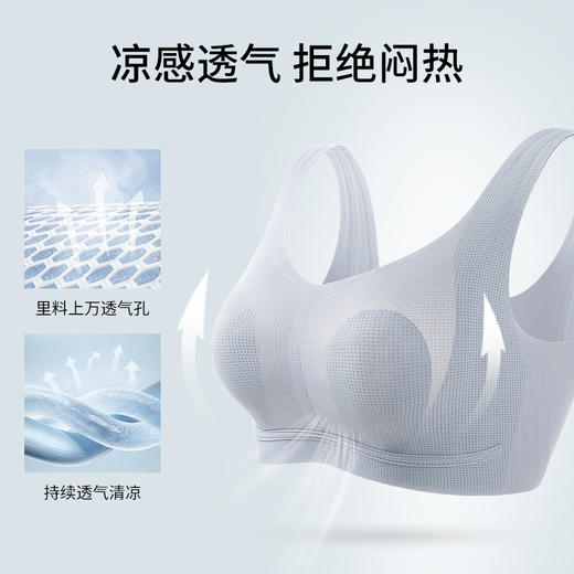 T1-❤【超值2件装】【提拉女王5.0 兔耳朵】直播间同款提拉内衣  提拉显小，提拉女王为夏季版，若更换四季版可联系在线客服】【女神节限时补贴，可叠店铺满减券 】 商品图3