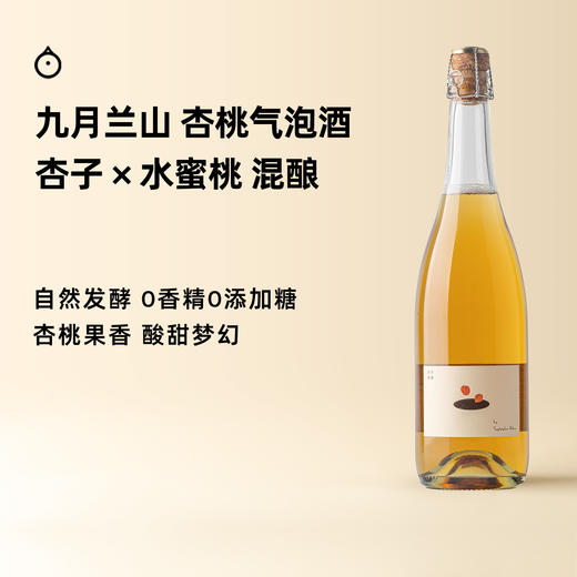 企鹅市集|中国宁夏九月兰山 非杏即桃 杏桃气泡酒 100%鲜果酿造 杏子桃子混酿 多重香气复杂融合 商品图0