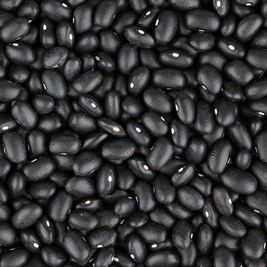 金亮子·黑芸豆600g  每 100 克干豆含蛋白质约 21 克 商品图3